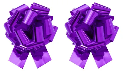 Image de Rubans enroulés - Diamètre de 25 cm - Décoration pour emballages et travaux manuels - 2 pièces - Violet