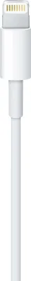 Zdjęcie produktu dla Apple Foxconn Lightning auf USB Kabel 2,0 m (luzem)