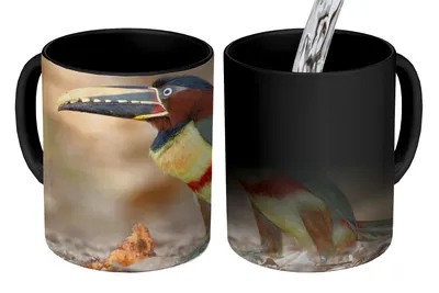 Obrázok produktu pre MuchoWow® Magický pohár Vták - tukan - perie - príroda 350 ml Pohár na zmenu farby Darček Nápad na darček - Foto hrnček