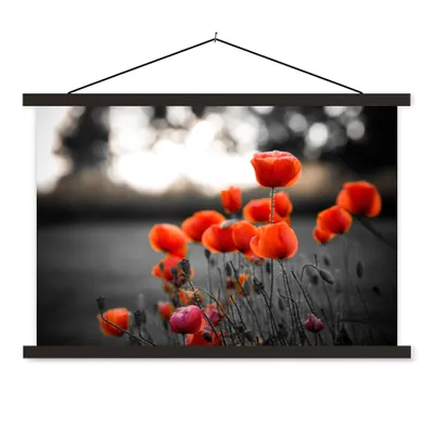 Produktbild von MuchoWow® Textilposter Rote Mohnblumen vor schwarzem und weißem Hintergrund 150x100 cm mit schwarzem Rahmen - Schlafzimmer