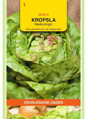 Obrázok produktu pre Oranjeband – hlávkový šalát Maikönig – 1 balenie semien