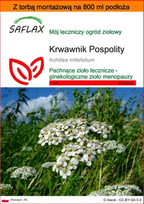 Zdjęcie produktu dla SAFLAX - Garden in the bag - Krwawnik Pospolity - 200 Nasiona - Z podłożem uprawowym w praktycznej, samorozkładającej się torbie - Achillea millefolium