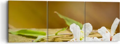Produktbild von Bild auf Leinwand - Leinwandbild - Asien spa bambus blume - 90x30cm - Wand Bild - Wanddeko - Leinwanddruck - Bilder - Kunstdruck - Wanddekoration - Leinwand bilder - Wandkunst - CA90x30-2499