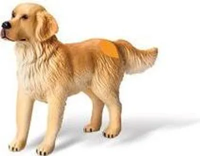Obrázek produktu pro Ravensburger tiptoi: Golden Retriever, dog, 3 rok/roky, tiptoi: farm, Hnědá