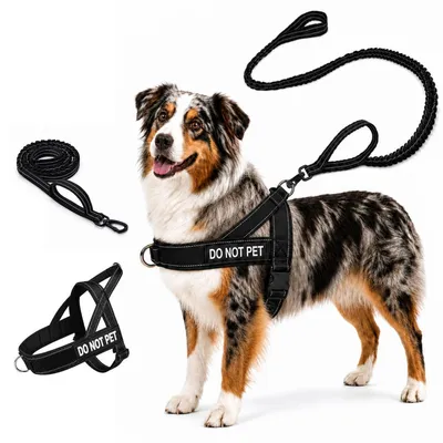 Image de Harnais anti-traction pour chien avec laisse, harnais de poitrine pour chien, taille M, noir