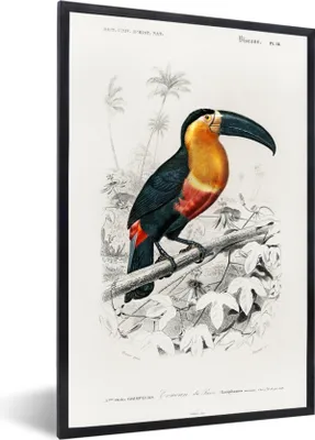 Produktbild von MuchoWow® MuchoWow® Gerahmtes Poster Vogel - Tukan - Weinlese 20x30 cm - Poster mit zchwarzem Bilderrahmen - Drucken - Bilder Poster im Rahmen