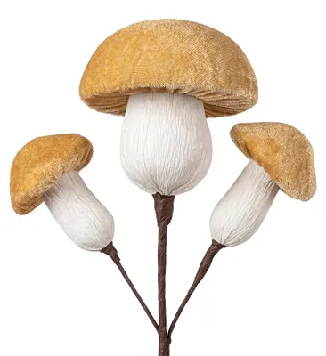 Produktbild von Clayre & Eef Dekorationsfigur Pilz Beige Kunststoff