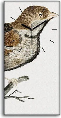 Produktbild von Dekor Leinwand Uhr Wandbilder Geräuschlos 30x60 Zeichnung Tier Vogel Zweig Kunst - schwarze Hände