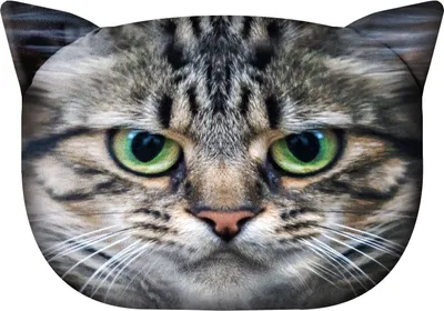 Productafbeelding van Bertoni Kattenkussen M - Borys, 25x35 cm