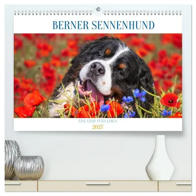 Produktbild von Berner Sennenhund - Eine Liebe für´s Leben (hochwertiger Premium Wandkalender 2027 DIN A2 quer), Kunstdruck in Hochglanz