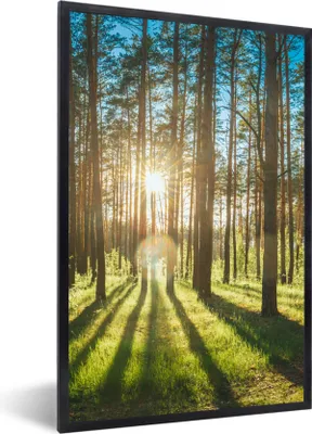 Produktbild von MuchoWow® Gerahmtes Poster Sonne - Bäume - Landschaft - Gras 60x90 cm - Poster mit Schwarzem Bilderrahmen Wandposter Rahmen Foto Bilder - Kunst