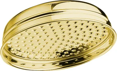 Obrázok produktu pre Sprchová hlavica ANTEA, priemer 200 mm, zlatá