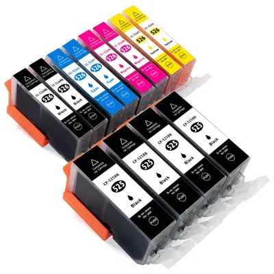 Immagine prodotto di Cartucce per stampante ESMONLINE, confezione da 12, compatibili con Canon PGI-525 CLI-526