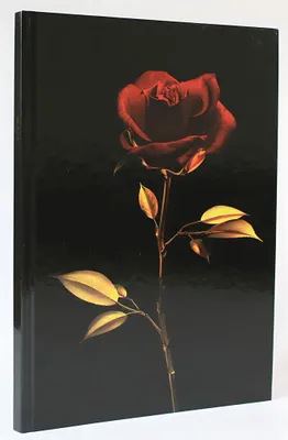 Produktbild von ADINA Notizbuch A4 fester Deckel Lineatur gepunktet elegante Rose
