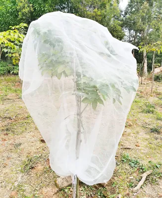 Produktbild von Insektenschutznetz für Obstbäume mit Reißverschluss