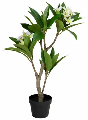 Immagine prodotto di HOWHOMELY | Piante - Pianta artificiale - bianca - verde - 90 cm - Pianta decorativa in vaso - per casa - giardino