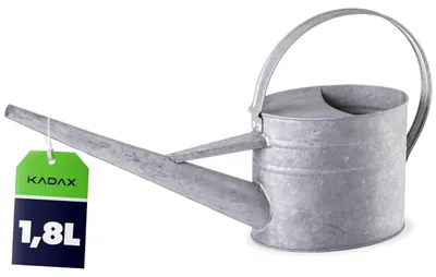 Produktbild von KADAX Zinkgießkanne 2L aus verzinktem Stahl, Vintage Gießkanne mit langem Ausguss, Metall Giesskanne für Zimmerpflanzen, kleine Blumengießkanne (Silber)