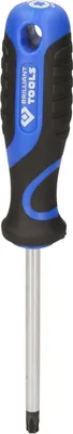 Image de BRILLIANT TOOLS  Tournevis TORX  T40 -  BT034911