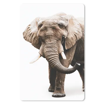 Produktbild von MuchoWow® Mauspad Mousepad Elefant - Weiß - Tiere 40x60 cm - Mousepads - Maus Mat - Pad - Mausunterlage - Schreibtisch Accesoire