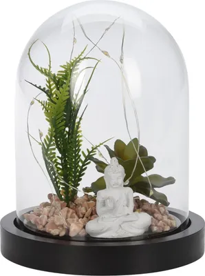 Produktbild von LED Leuchtdekoration Buddha Figur mit künstlicher Sukkulente in Glaskuppel