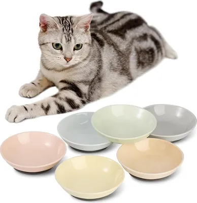 Immagine prodotto di Ciotole per gatti in Vetroceramica colorata - tappetino antiscivolo - 6 pezzi