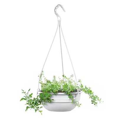 Produktbild von Blumenampel 25 cm Durchmesser Farbe Weiß