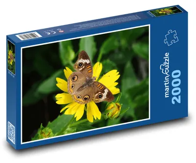Produktbild von Puzzle 2000 Schmetterling auf Blume - martinpuzzle