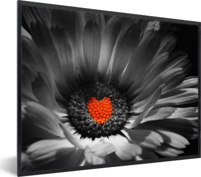 Produktbild von MuchoWow® Gerahmtes Poster Schwarz-Weiß-Foto einer Ringelblume mit einem roten Herz 80x60 cm - Poster mit Schwarzem Bilderrahmen Wandposter Rahmen Foto Bilder - Schwarzem - Mit Gestell