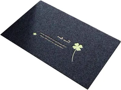 Obrázek produktu pro Absorpční rohož do vstupu, 40 x 60 cm, omyvatelná, protiskluzová, do předsíně a na dvůr