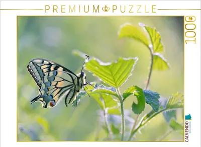 Produktbild von CALVENDO Puzzle Der stolze Schwalbenschwanz | 1000 Teile Lege-Größe 64x48cm Foto-Puzzle für glückliche Stunden