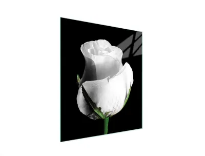 Produktbild von Glas-Schneidebrett Rosa mit Rosendesign, rutschfesten Füßen, 45x52 cm