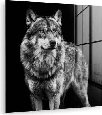 Produktbild von MuchoWow Glasbilder - Bilder auf Wandbild - Foto auf Glas Wolf - Tiere - Wild - Schwarz - Weiß 30x30 cm Wanddekoration aus Glas - Acrylglasbild - Acrylbilder