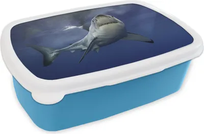 Produktbild von KitchenYeah® Lunchbox Brotzeit Brotdose 17x11 cm Weißer Hai Kinder Brotzeitdose - Lunch - Kunststoff  - Brotbüchse - Sandwichbox - Lunchbox für Kinder
