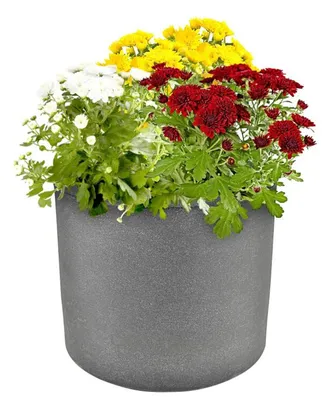 Produktbild von Blumenkübel "Kubus" Übertopf Outdoor ø39cm H33cm Pflanzengefäß grau mit Rollen