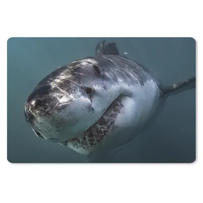 Produktbild von MuchoWow® Mauspad Mousepad Hai - Weiß - Wasser 27x18 cm - Mousepads - Maus Mat - Pad - Mausunterlage - Büroartikel - Desk Matten