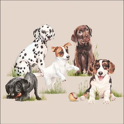 Produktbild von Servietten Papier 33x33cm 3-lagig mit Hundemotiv 20 Stück