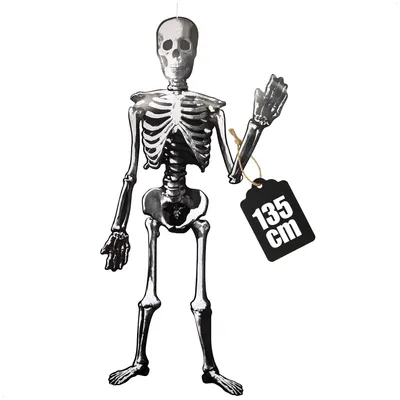 Produktbild von com-four® Halloween-Skelett 135 cm Aufhänger aus Papier, Papp-Gerippe