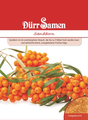 Artikelbild 1 von 'Sanddorn' aus der Kategorie Exotische Samen