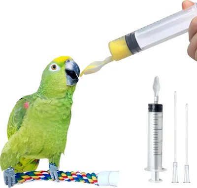 A parrot being fed from a syringe with a spoon-like tip, with additional syringes and tips shown.