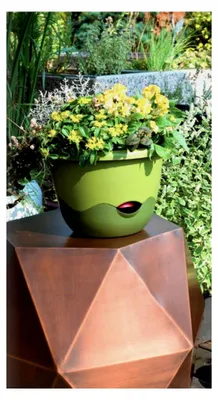 Produktbild von Blumenampel Mareta Ø 25 und 30 cm Bewässerungsampel Hängeampel mit Kette (Durchmesser: 25 cm, Hellgrün und Dunkelgrün)