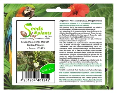 Produktbild von 10x Leucaena collinsii Strauch Garten Pflanzen - Samen ID1413