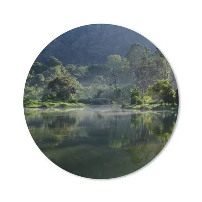 Produktbild von MuchoWow® Mauspad Mousepad Erstaunliche Spiegelung eines tropischen Regenwaldes in einem See in Jakarta 20x20 cm - Mousepads - Maus Mat - Pad - Mausunterlage - Schreibtischmatte