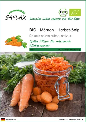 Produktbild von SAFLAX - BIO - Möhren - Herbstkönig - 1000 Samen - Daucus carota
