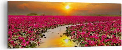 Produktbild von Bild auf Leinwand - Leinwandbild - See Blumen - 140x50cm - Wand Bild - Wanddeko - Wandbilder - Leinwanddruck - Bilder - Kunstdruck - Wanddekoration - Leinwand bilder - Wandkunst - AB140x50-3769