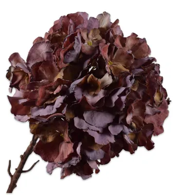 Produktbild von Silk-ka Kunstblume – Seidenblumen-Hortensienstiel, lila, 64 cm
