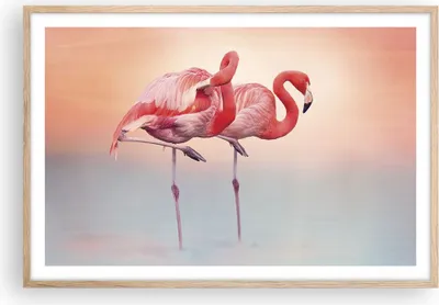 Produktbild von Gerahmtes Poster - Rahmen in heller Eiche - Flamingos Exotik Vögel - 91,5x61 cm - Wand Bild - Wanddeko - Wandbilder - Kunstposter - Wandposter - Bilderrahmen - Bilder - Kunstdruck - P2NAA91x61-5044