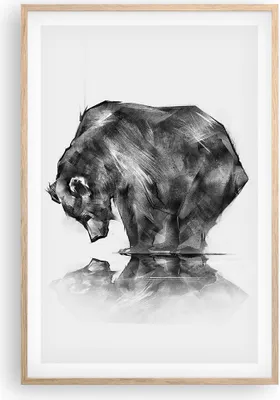 Produktbild von Gerahmtes Poster - Rahmen in heller Eiche - Bär Tier - 61x91,5 cm - Wand Bild - Wanddeko - Wandbilder - Kunstposter - Wandposter - Bilderrahmen - Bilder - Kunstdruck - Wandbild - P2NPA61x91-3921