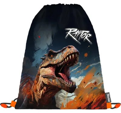 Produktbild von OXYBAG Trainingstasche 30x37cm Dino