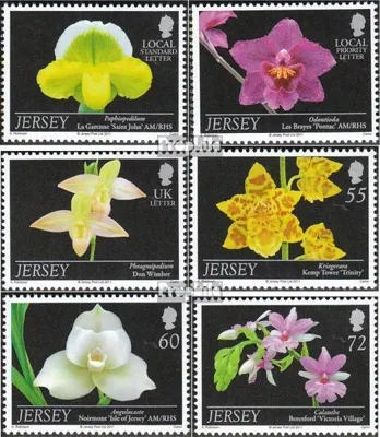 Produktbild von Briefmarken GB - Jersey 2011 Mi 1554-1559 (kompl.Ausg.) postfrisch Orchideen