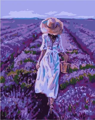 Produktbild von Malen nach Zahlen – Lavendelfeld 40 x 50 cm – Qbee